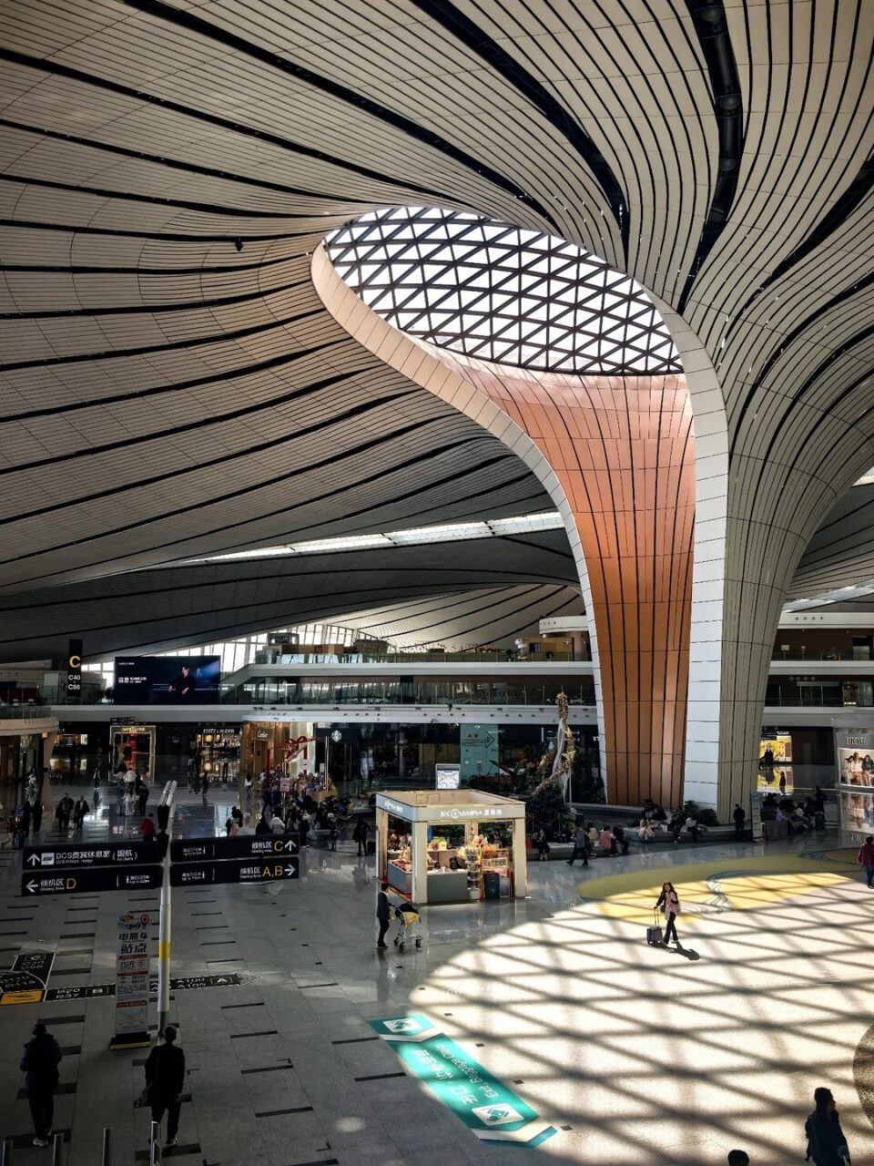 Daxing International Airport | Traveling To China - Everything You Need To Know Daxing International Airport | Your Disney