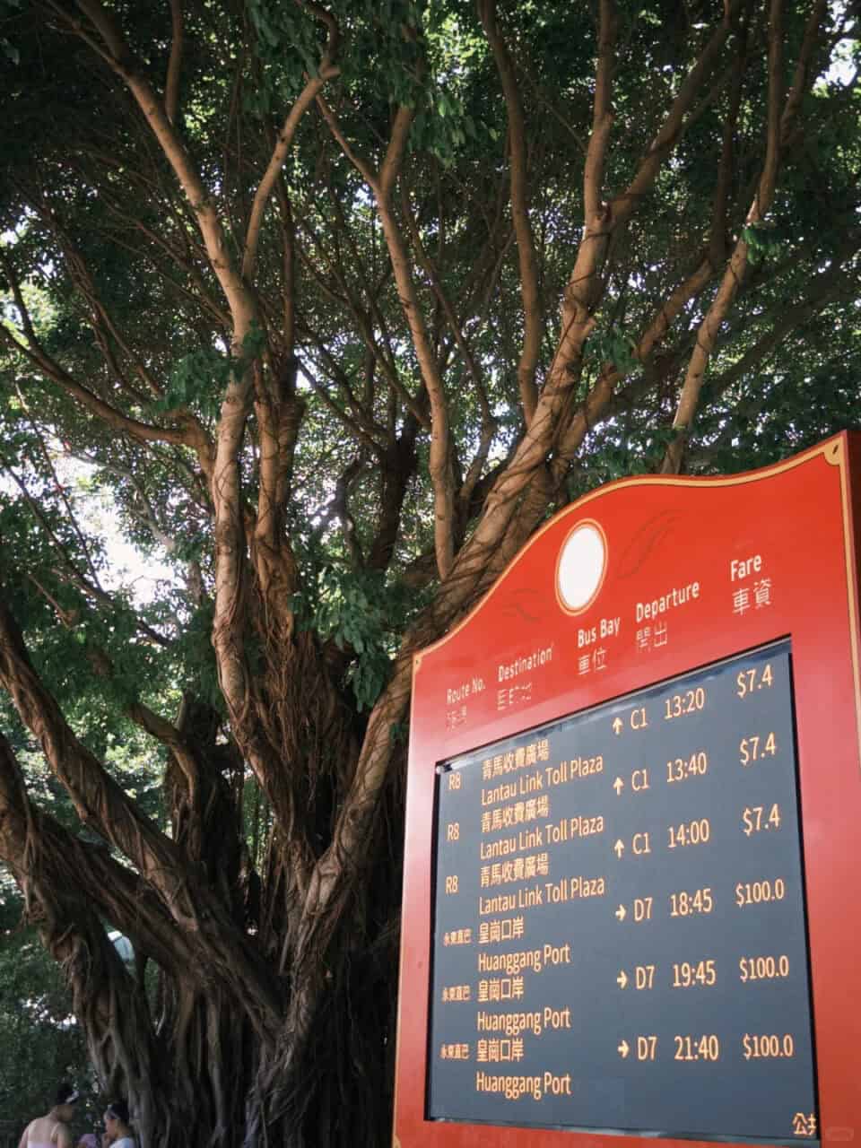 Hkdl Transportation | The Ultimate Hong Kong Disneyland Planning Guide (2026) Hkdl Transportation | Your Disney