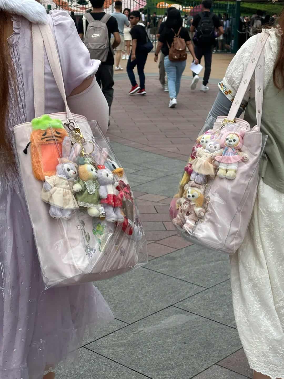 Hkdl Bag | Traveling To Hong Kong – Everything You Need To Know Hkdl Bag | Your Disney