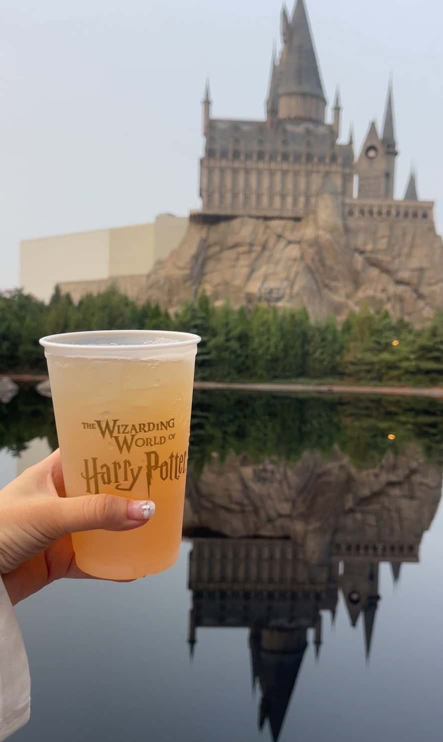 Hogwarts Butterbear Reflection | The Ultimate Universal Studios Beijing Planning Guide (2026) Hogwarts Butterbear Reflection | Your Disney