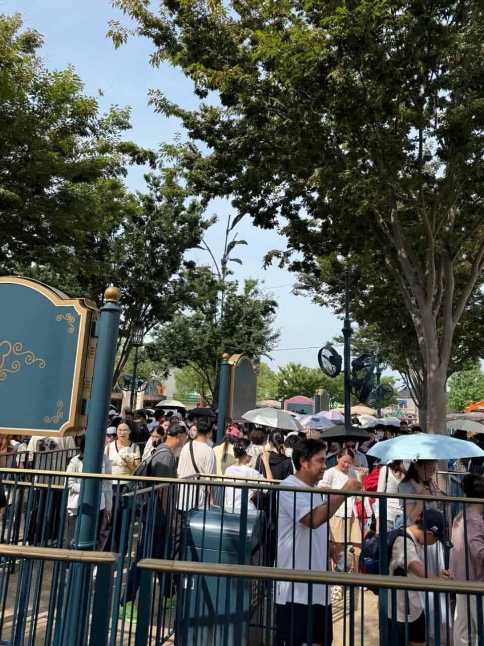 Shd Umbrellas | Your Disney