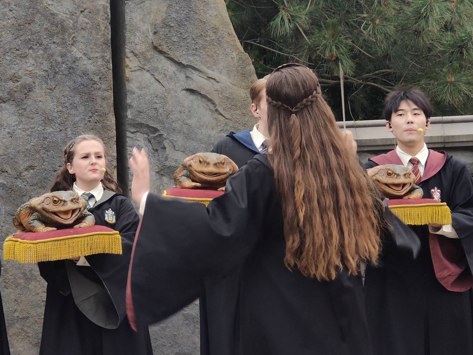 Usb Frog Choir | Best Universal Studios Beijing Shows &Amp; Characters Guide (2026) Usb Frog Choir | Your Disney